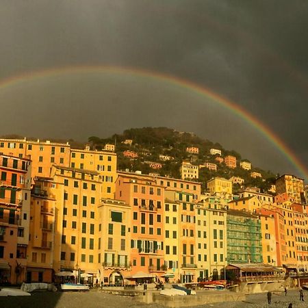 Silmar Leilighet Camogli Eksteriør bilde